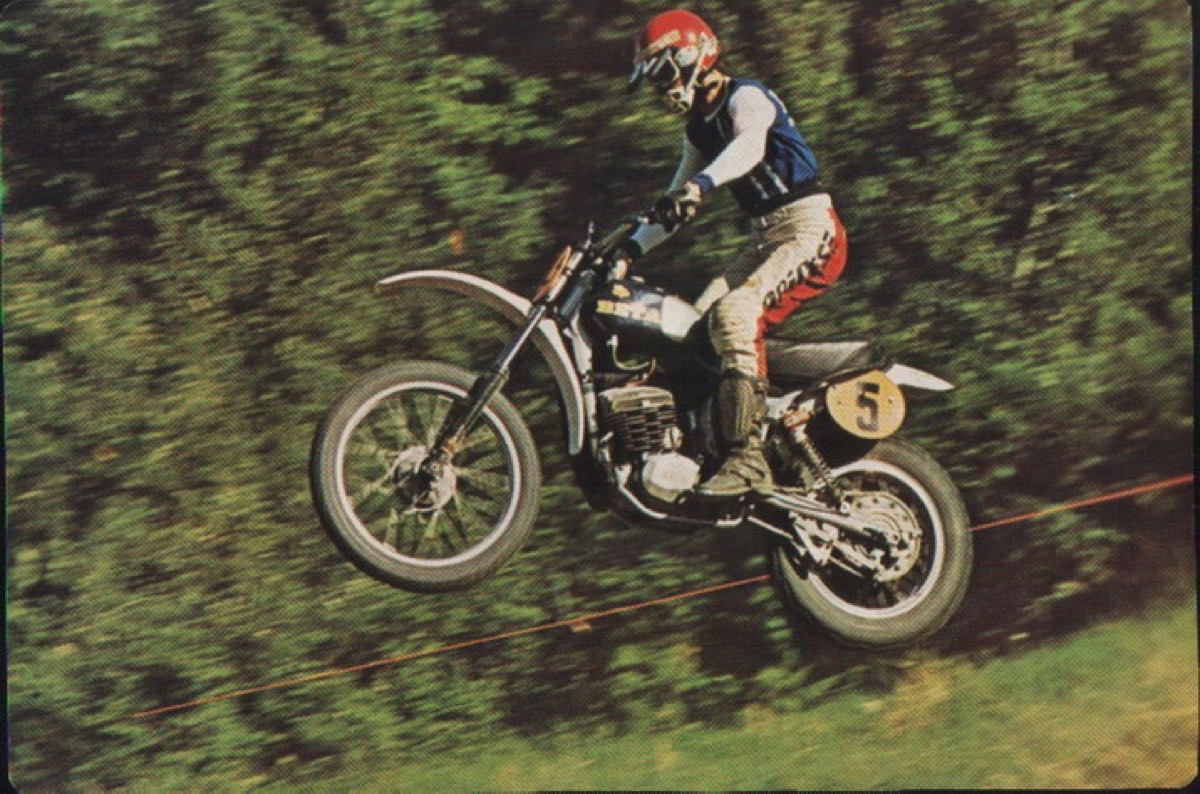 Beta 1976